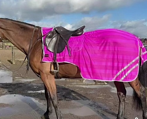 Reflex hind exercise - hind, sheet