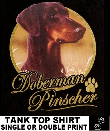 Very classy cool - classy, doberman