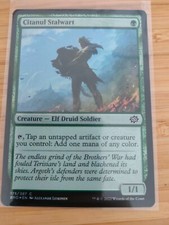 MTG Citanul Stalwart (FOIL) 175 The Brothers' War M/NM Free UK P&P