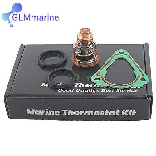 Thermostat kit 67f 12411 - 60°c,