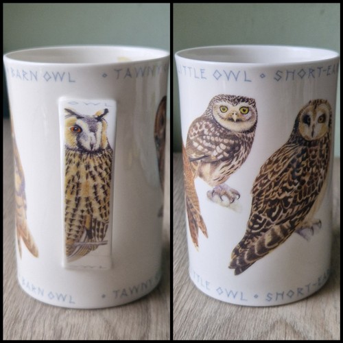 Dunoon birds owls - 1x,