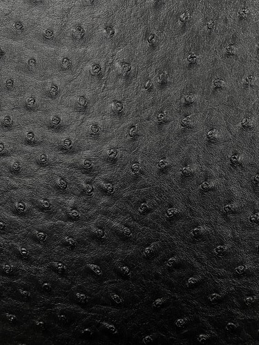 Black ostrich faux - ostrich, vinyl