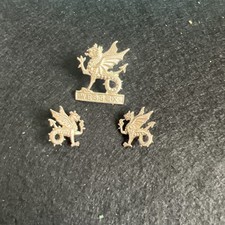 Wessex Cap Badge And Matching
