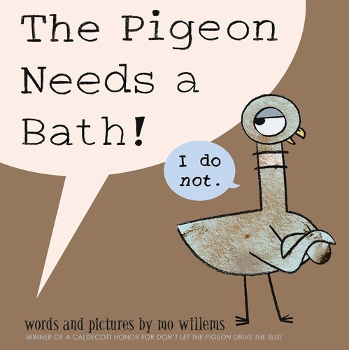 Pigeon needs bath - pigeon,