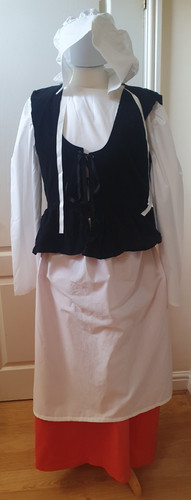 Tudor fancy dress - tudor, women's