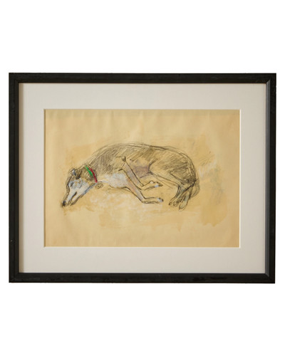 Sleeping greyhound iii - sleeping,