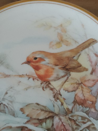 Royal vale bone china - royal,