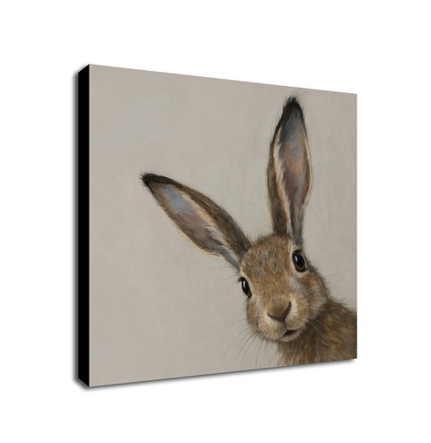 Curious hare animal - hare, art