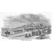 HORSE RACING The Derby Horses