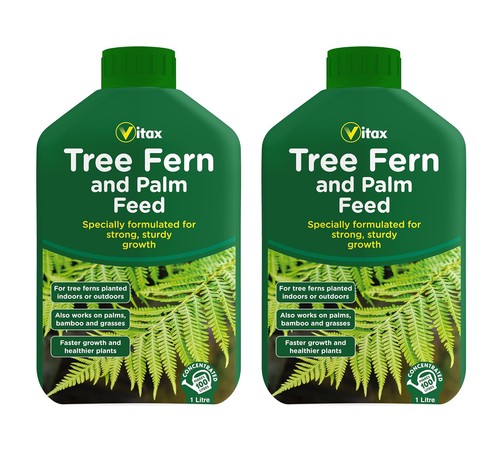 Vitax tree fern palm - vitax,