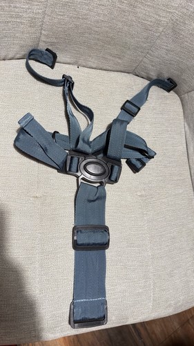 Cosatto giggle harness - giggle, 2