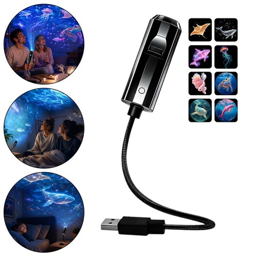 Projection night light ocean - night,
