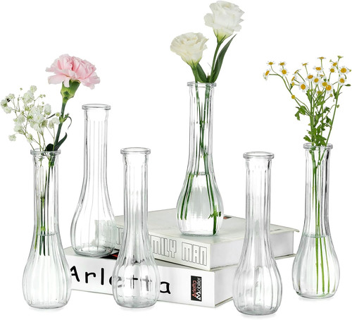 Glass bud vases - flower:, 6