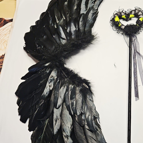 Black feather angel wings - feather,