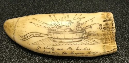 Scrimshaw sperm whale tooth - scrimshaw,