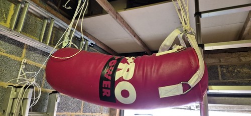 Pro power punch bag - power,