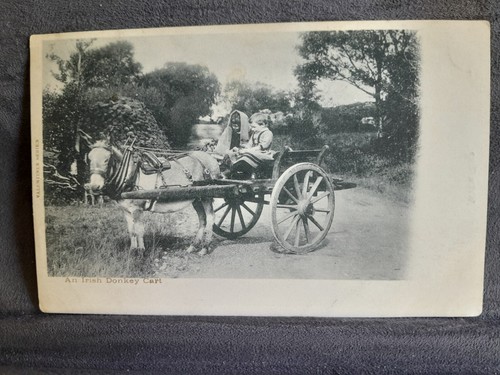 Irish donkey cart - &, 2