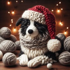 Single Luxury Border Collie Christmas Card XKN