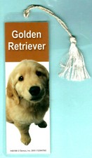 Yellow Golden Labrador