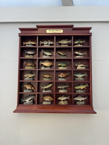 The anglers showcase - the,