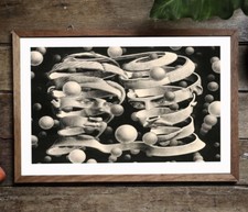 Bond Of Union by MC Escher