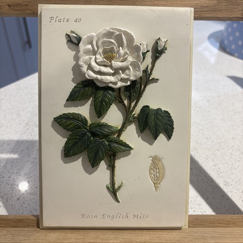 Marks spencer rosa - marks, &