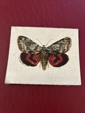 R. J. Lea Butterflies & Moths