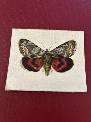 Lea butterflies moths - butterflies, &