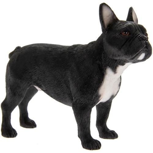 Best breed dog - best,