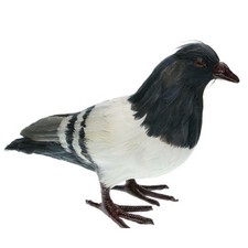 Artificial Feather Gray Pigeon Furry Animal Taxidermy Figurine Garden Decor