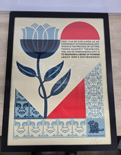 2025 PHENOMENOLOGY IN  BLOOM