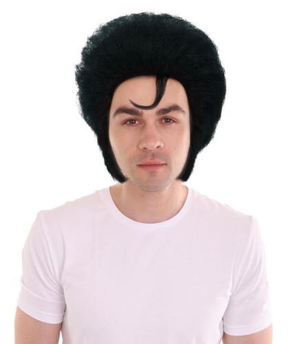 Men elvis wig black - men’s,