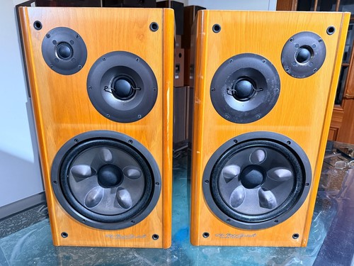 Victor 700 spirit speakers - spirit,
