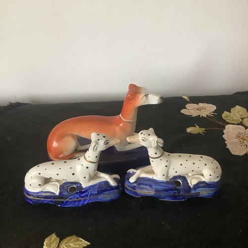 Staffordshire hound dogs - hound,