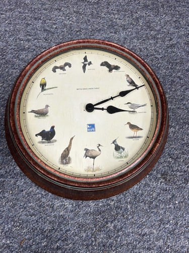 Rspb bird wall - bird, clock