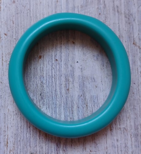 Dinosaur designs bangle - dinosaur, round