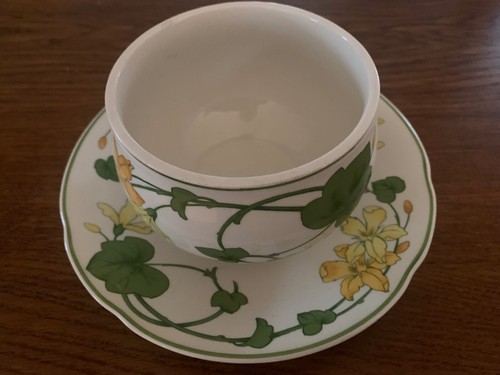 Villeroy and boch geranium - and,