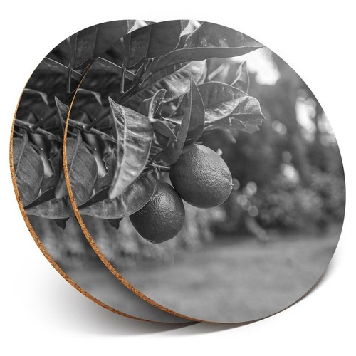 Coasters citrus - x, bw