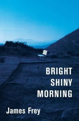 Bright shiny morning intl - shiny,