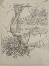 1960s Original charcoal & pencil drawing sketch landscape with tree unsigned