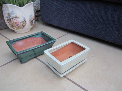 Vintage glazed bonsai plant - vintage,
