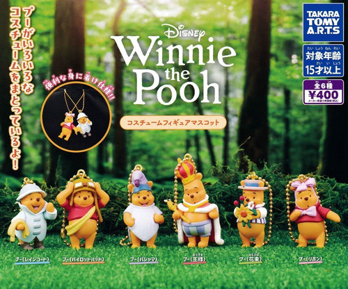 Winnie the pooh - pooh, costume