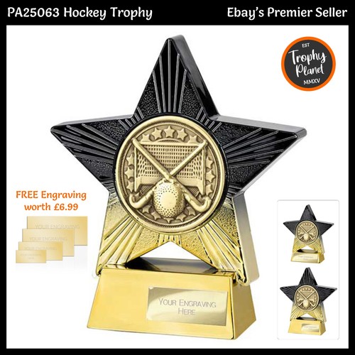 Hockey award trophies - hockey,