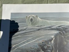 Robert Bateman - Arctic