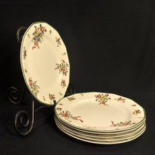 Royal Doulton 6 Luncheon