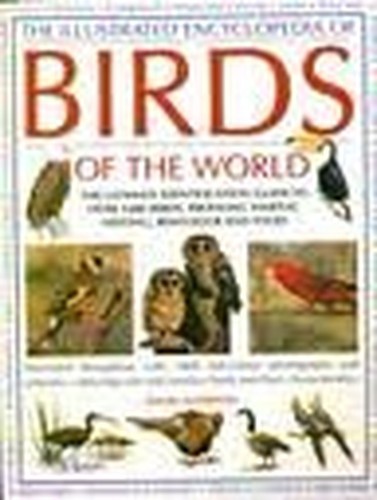 Illustrated encyclopaedia - encyclopaedia, of