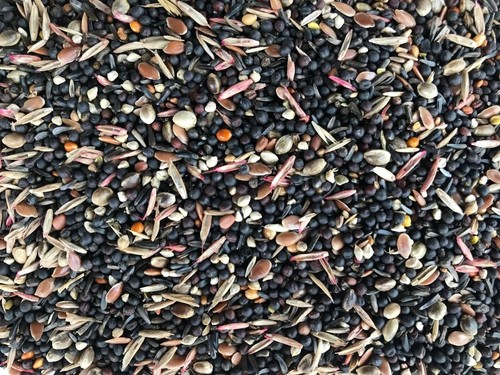 Canary and finch conditioner - finch,