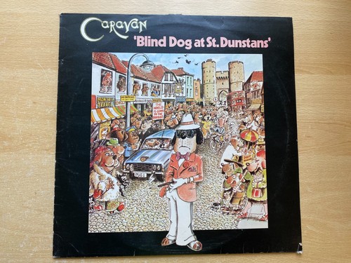 Caravan blind dog at st - caravan,