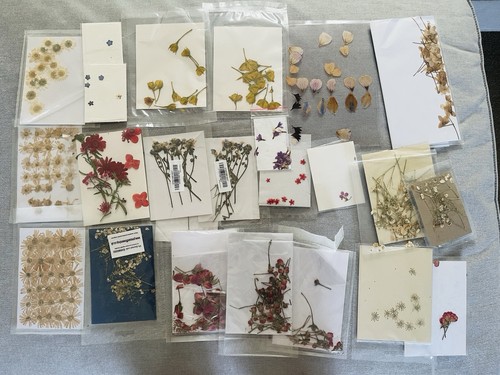 Assortment real pressed - of,