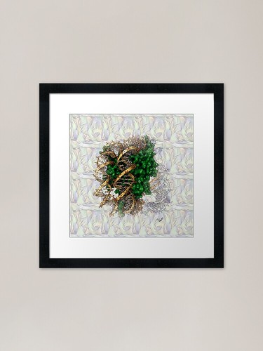 Xenopus frog nucleosome framed - xenopus,
